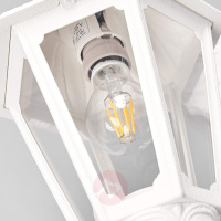 Уличный подвесной светильник FUMAGALLI SICHEM/ANNA 3L E22.120.S30.WXF1R