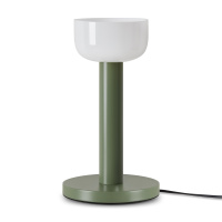 Настольная лампа светодиодная Freya Barries FR6185TL-L5GN Настольная лампа светодиодная Freya Barries FR6185TL-L5GN